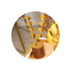 Ginkgo Leaf Object-5