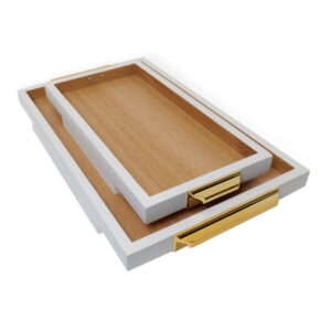 SUPERB-X-WHITE-TRAY-SET