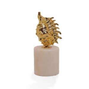Strombidae Shell Sculpture